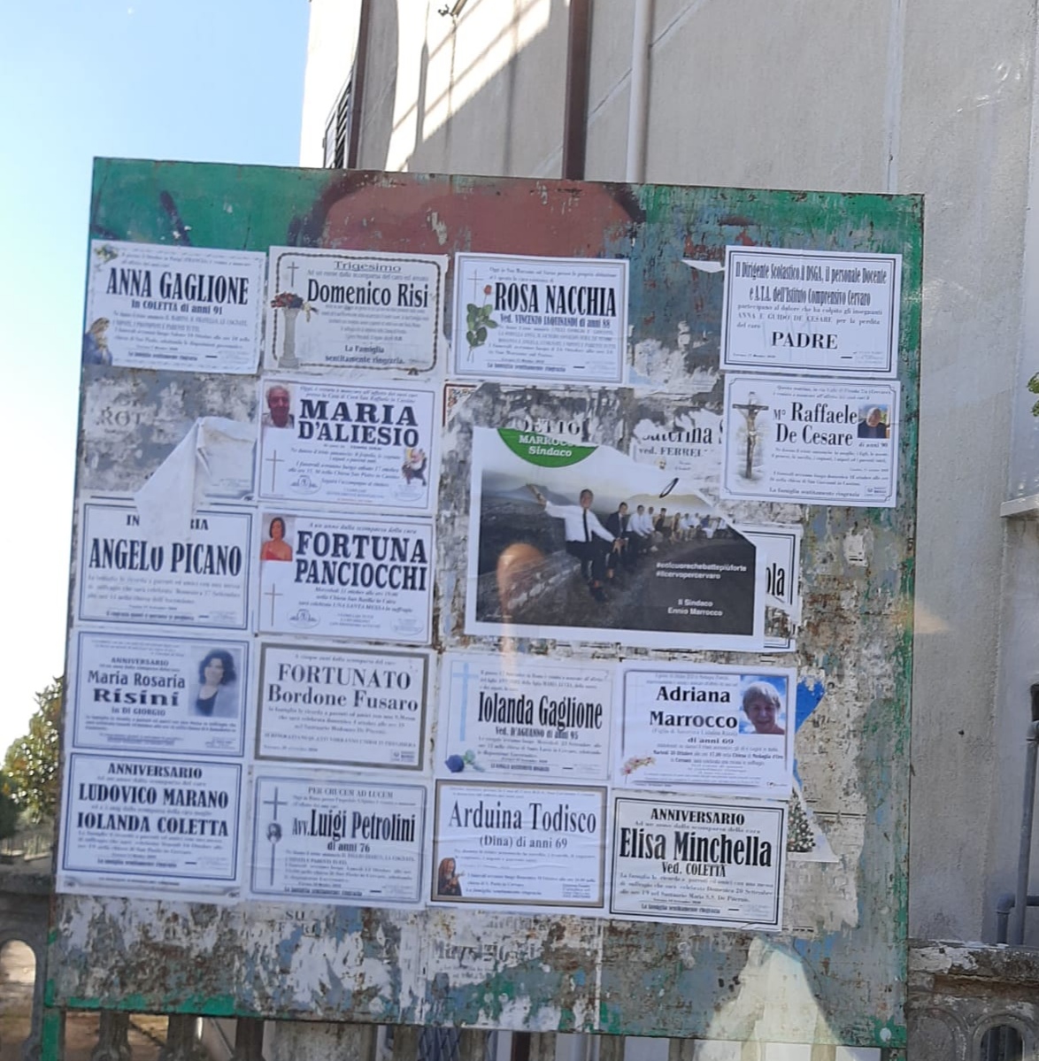 Manifesto Selvaggio - foto 2